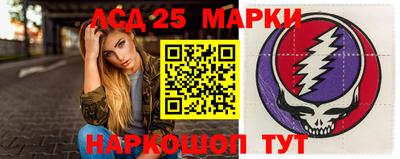стаф Дубна