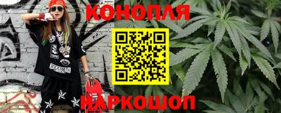 стаф Дубна