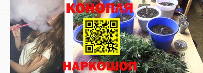 бошки Донской
