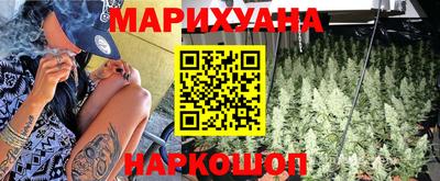 стаф Дубна