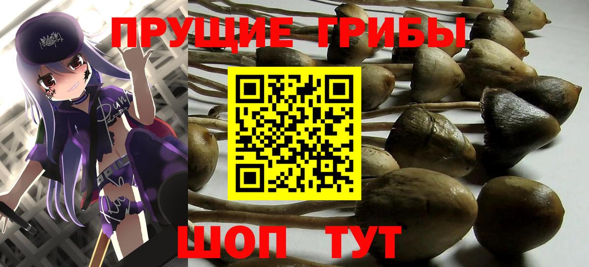 Псилоцибиновые грибы ЛСД Михайловка
